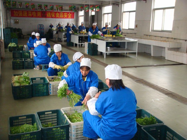 食材展示